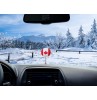 Tenna Tops Canada Canadian Flag Car Antenna Ball / Auto Dashboard Accessory (Fat Stubby Antenna) 